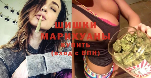 стаф Сясьстрой