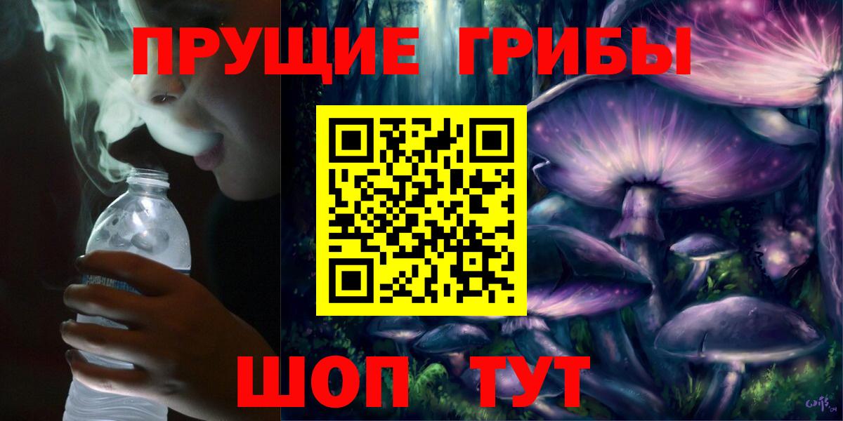 Галлюциногенные грибы ЛСД Северск